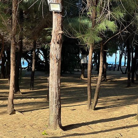 Omeesha Beach Hotel Kalpitiya Εξωτερικό φωτογραφία