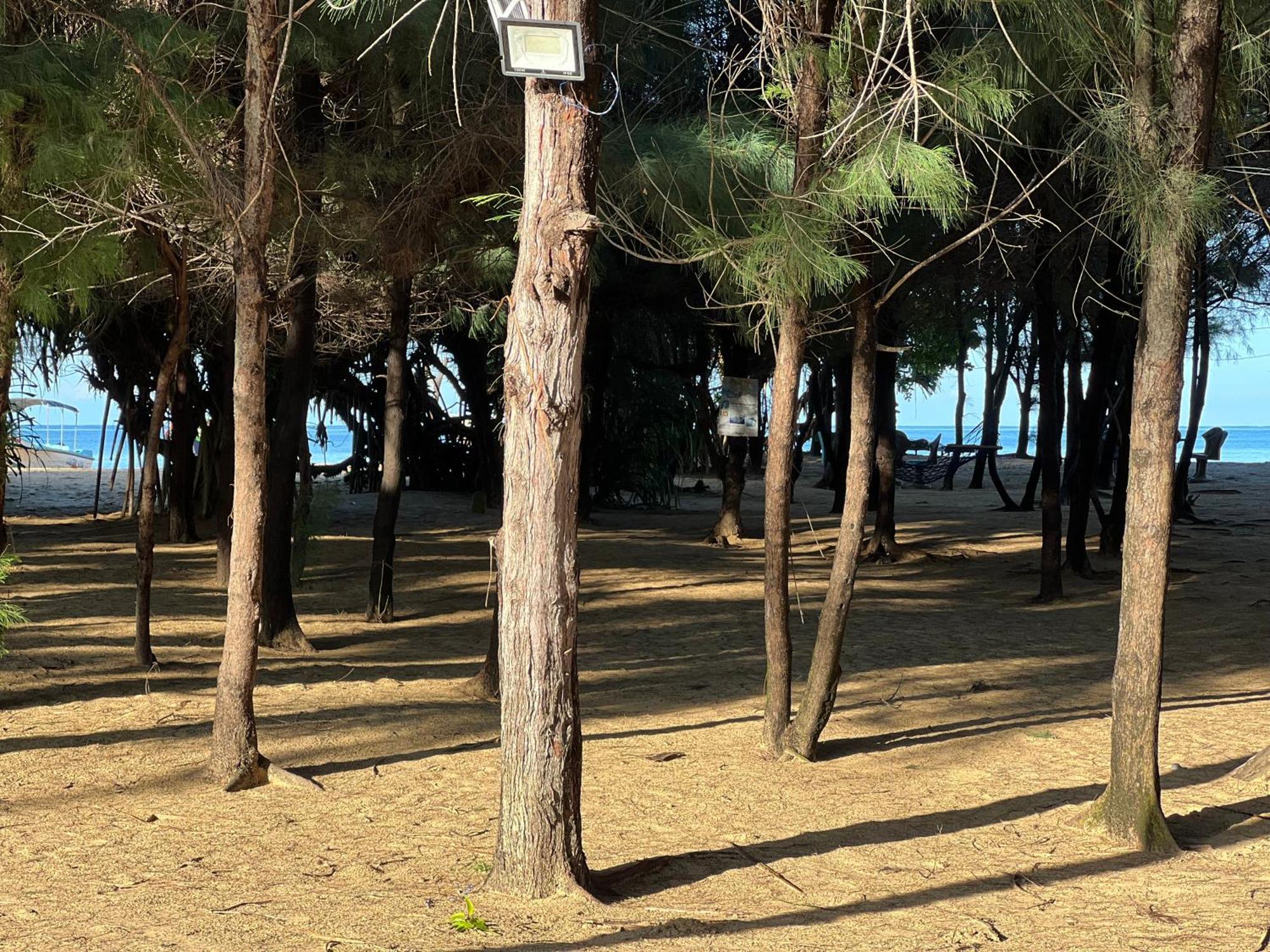 Omeesha Beach Hotel Kalpitiya Εξωτερικό φωτογραφία